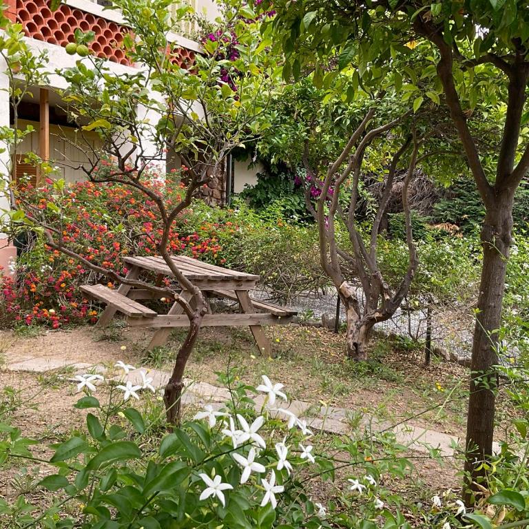 Villa La PROVENCE - Appartement - Vue sur Jardin - 11