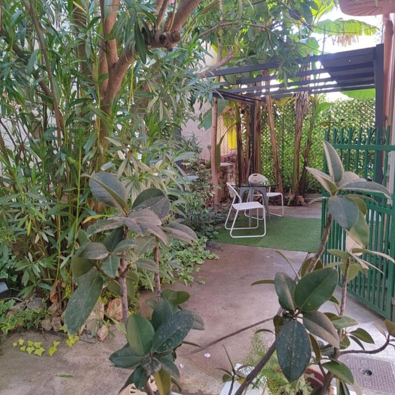 Studio 3T Sleeps 2 with Terrace - Studio Standard - 6