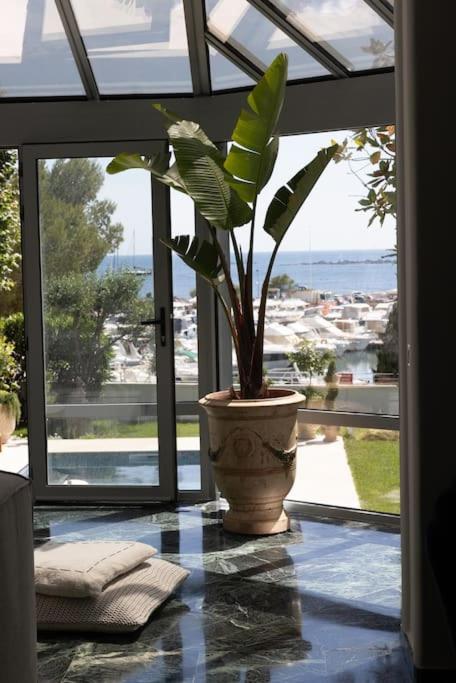 Beach front Villa Cap D'Antibes - Villa - Vue sur Mer - 23