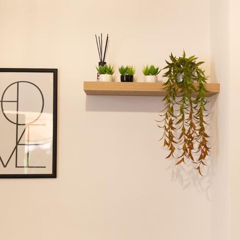 Civico 24 - One-Bedroom Apartment - 4
