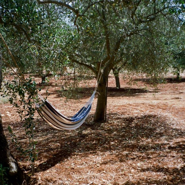 La Casa Serenita - Casa con 3 Camere da Letto - 23