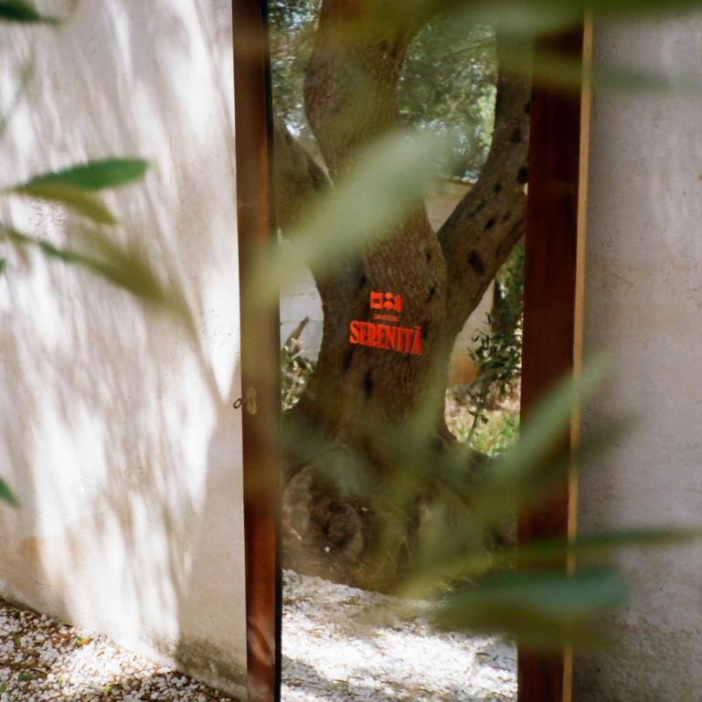 La Casa Serenita - Casa con 3 Camere da Letto - 25