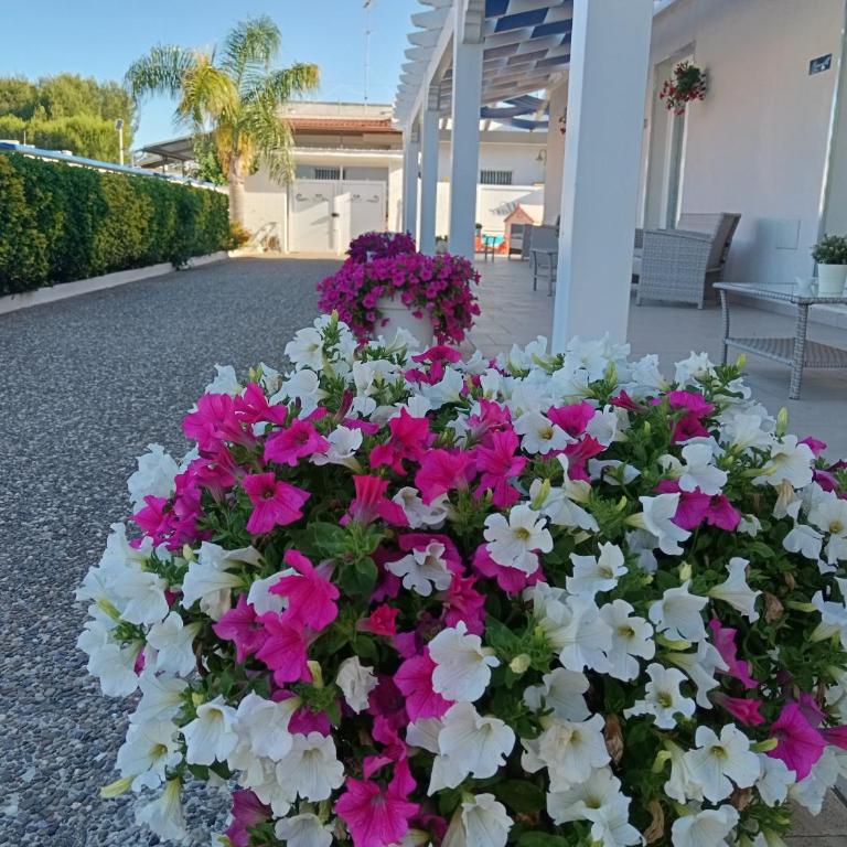 Blu d'aMare B&B - Camera Matrimoniale con Bagno Privato - 1