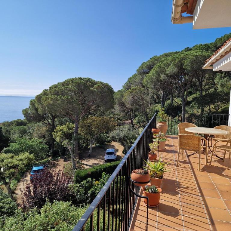 BJ-5 CALELLA DE PALAFRUGELL 6 PaX - Apartamento de 3 dormitorios - 20