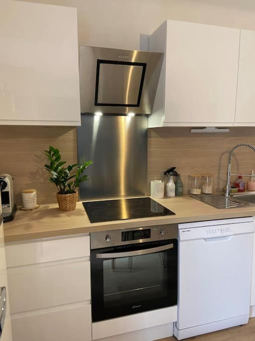Superbe T2 dans Nice avec balcon et parking - Appartement 1 Chambre - 8