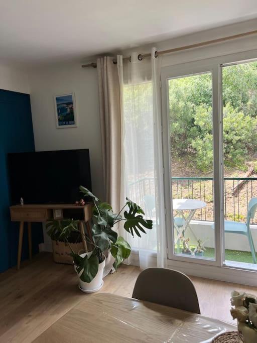 Superbe T2 dans Nice avec balcon et parking - Appartement 1 Chambre - 13