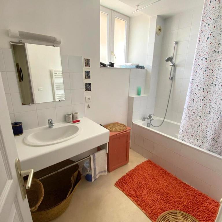 Chez Nellane - Poitiers - HyperCentre - Appartement 2 Chambres - 2