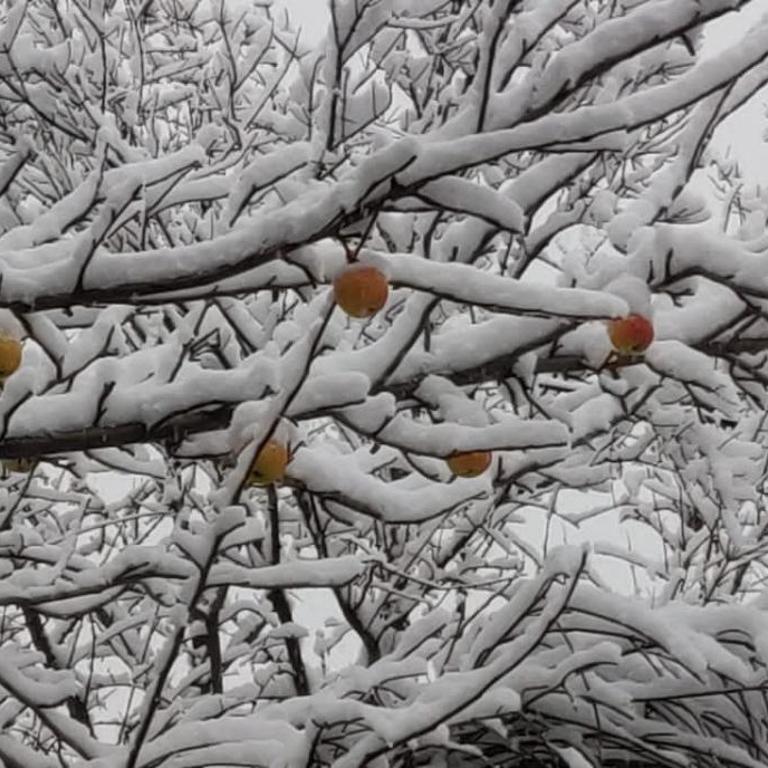 Casa Neneo Bariloche 2 - Apartment - 3