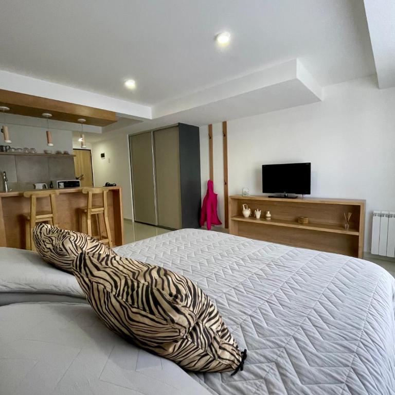 Alquiler de monoambiente moderno - Apartamento de 1 dormitorio - 1