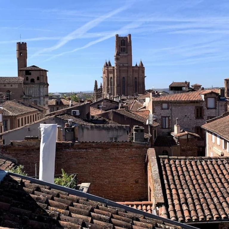 Loft atelier hyper centre Albi - Apartment mit 2 Schlafzimmern - 2