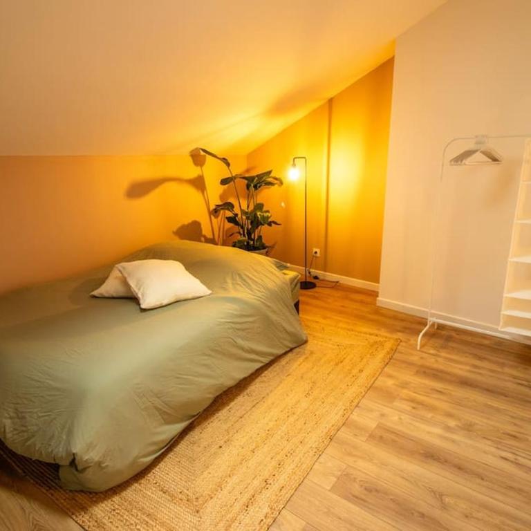 Loft atelier hyper centre Albi - Apartment mit 2 Schlafzimmern - 12