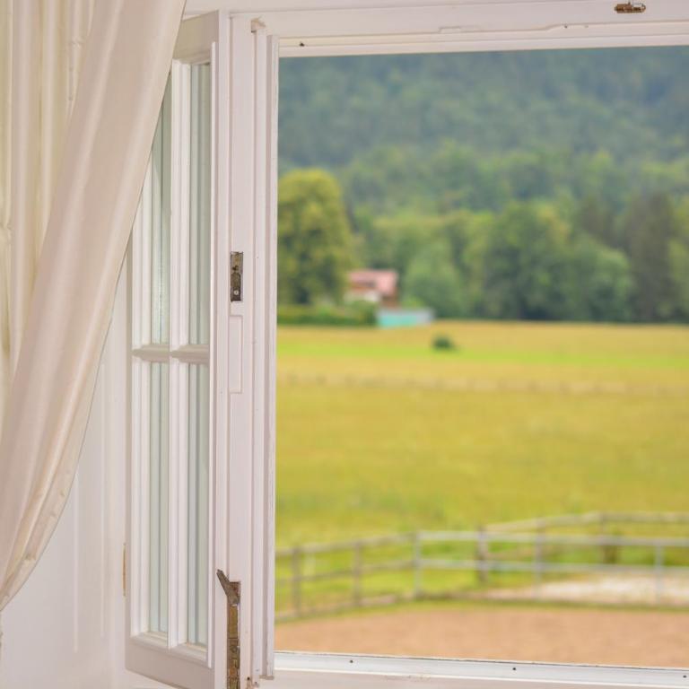 Ferienwohnungen am Bullachberg - Apartamento - 2 niveles - 8