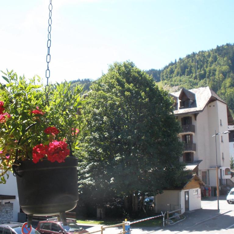 Chalet le Feufy - Apartamento de 1 habitación con vistas a la montaña - 17