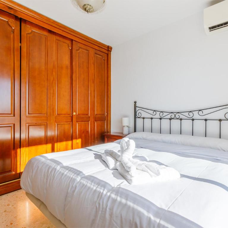 A&N Private Pool Garden Villa with BBQ Torre del Mar - Casa - 10