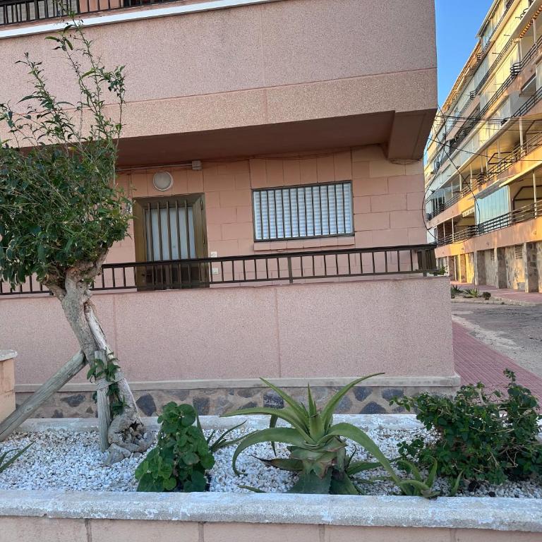 Maison Miramar Cabo Cervera - Apartamento de 2 dormitorios - 17