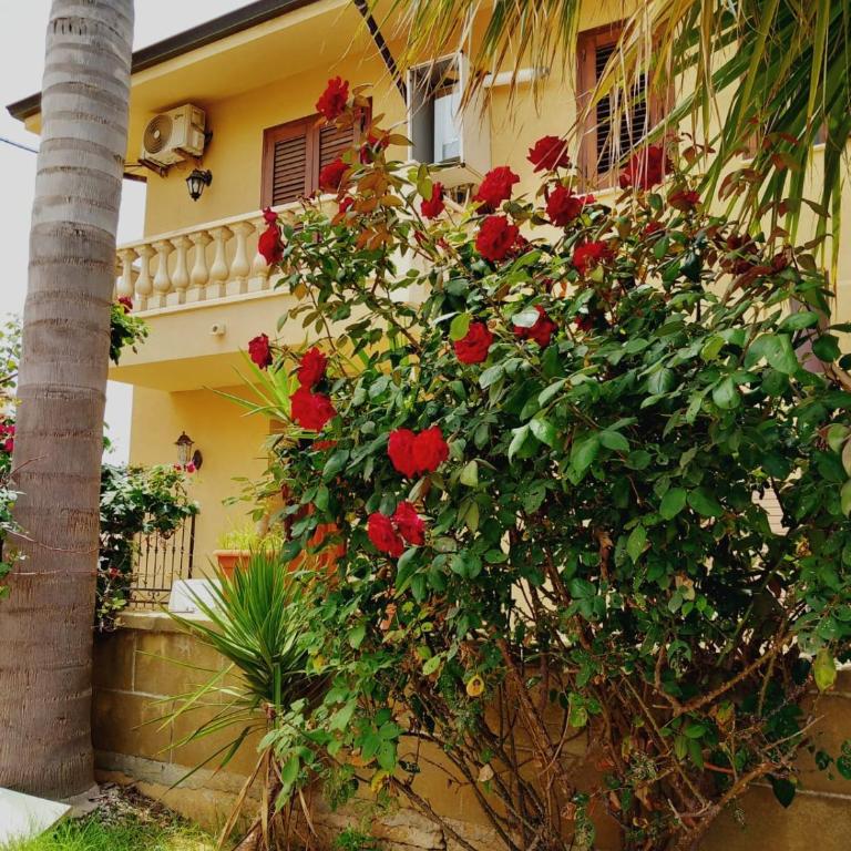 Residence Marino - Appartamento Grande con 2 Camere da Letto - 7