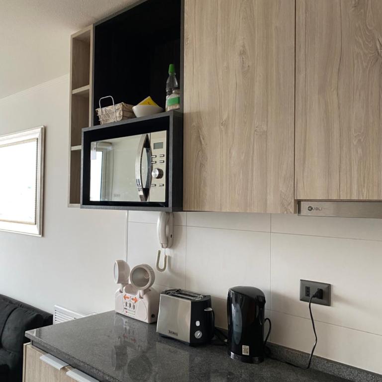Departamento Central Valdivia - Apartamento de 1 dormitorio - 2