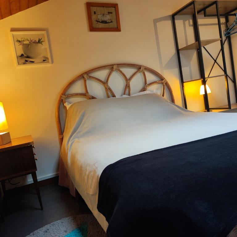 LE COURANT D'HUCHET - Appartement - 8