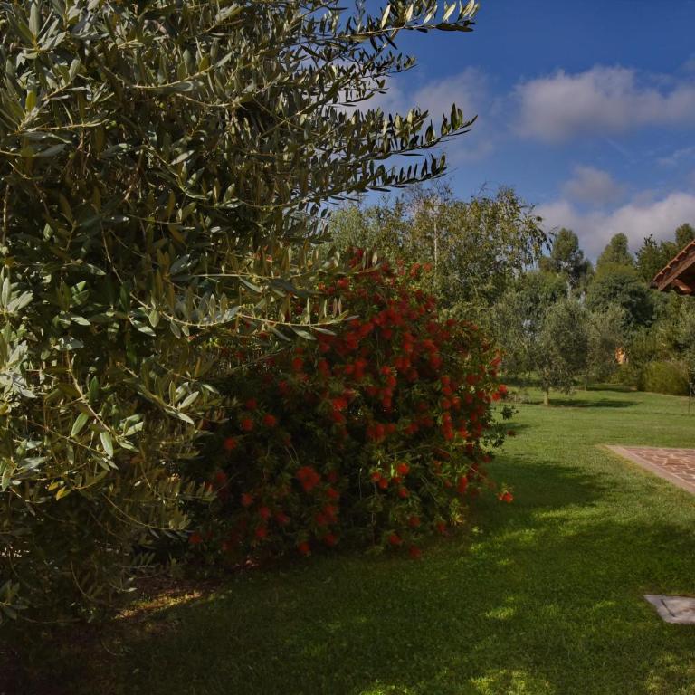 Casa Vacanze Vigna di Valle - Chalet con 1 Camera da Letto - 3