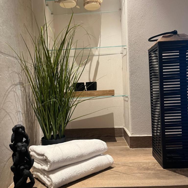 IL MARE BLU - Two-Bedroom Apartment with Jacuzzi and Sauna - 24