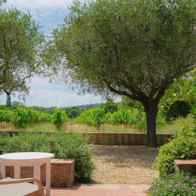 Hôtel La Figuière - Superior Room with Terrace - Vineyards View - 4