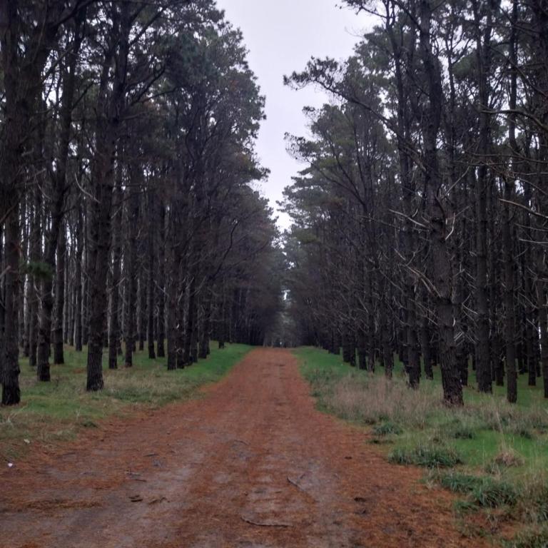 Cabaña en Villa del Deportista Villa Shalom - Casa de 2 dormitorios - 3