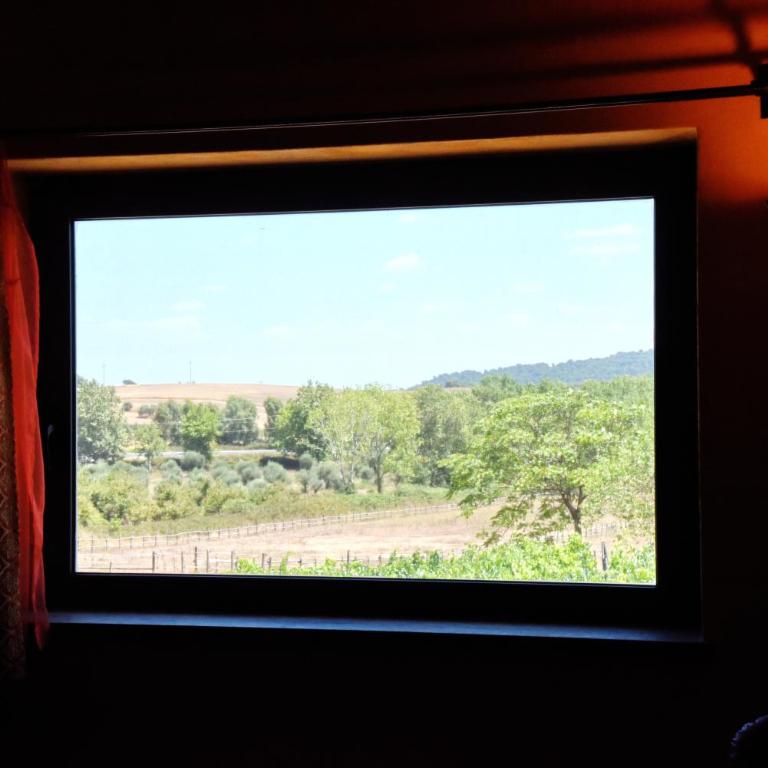 Casa Vacanze Vigna di Valle - Camera Matrimoniale con Vista Parco - 3