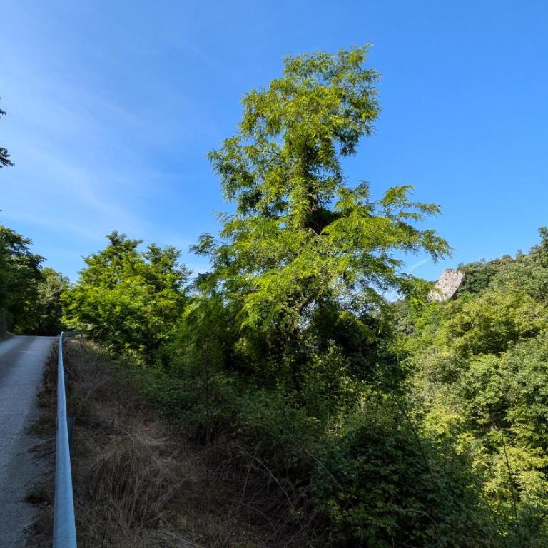 Ca' Gerani Valpolicella - Appartamento con 1 Camera da Letto - 17