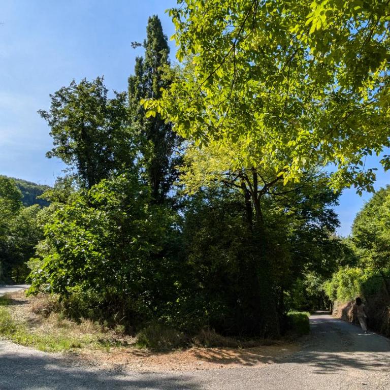 Ca' Gerani Valpolicella - Appartamento con 1 Camera da Letto - 35