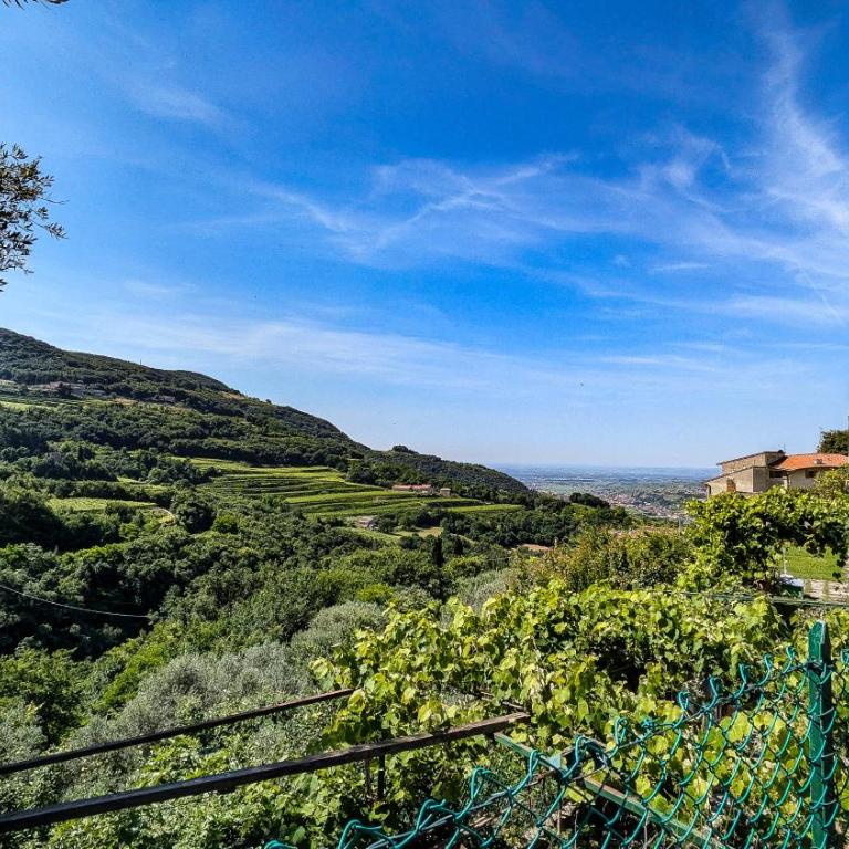 Ca' Gerani Valpolicella - Appartamento con 1 Camera da Letto - 42