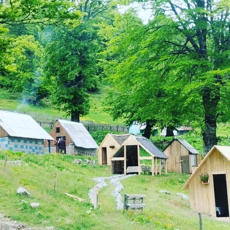 Eko Katun Djurisic - Apartman sa 1 Spavaćom Sobom - 2