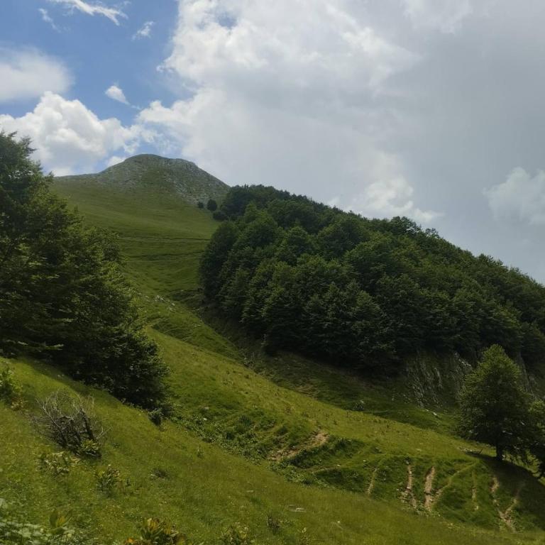 Eko Katun Djurisic - Apartman sa 1 Spavaćom Sobom - 9