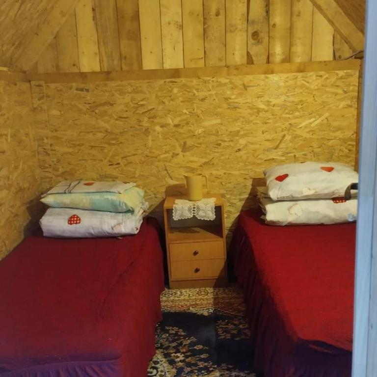 Eko Katun Djurisic - Apartman sa 1 Spavaćom Sobom - 16