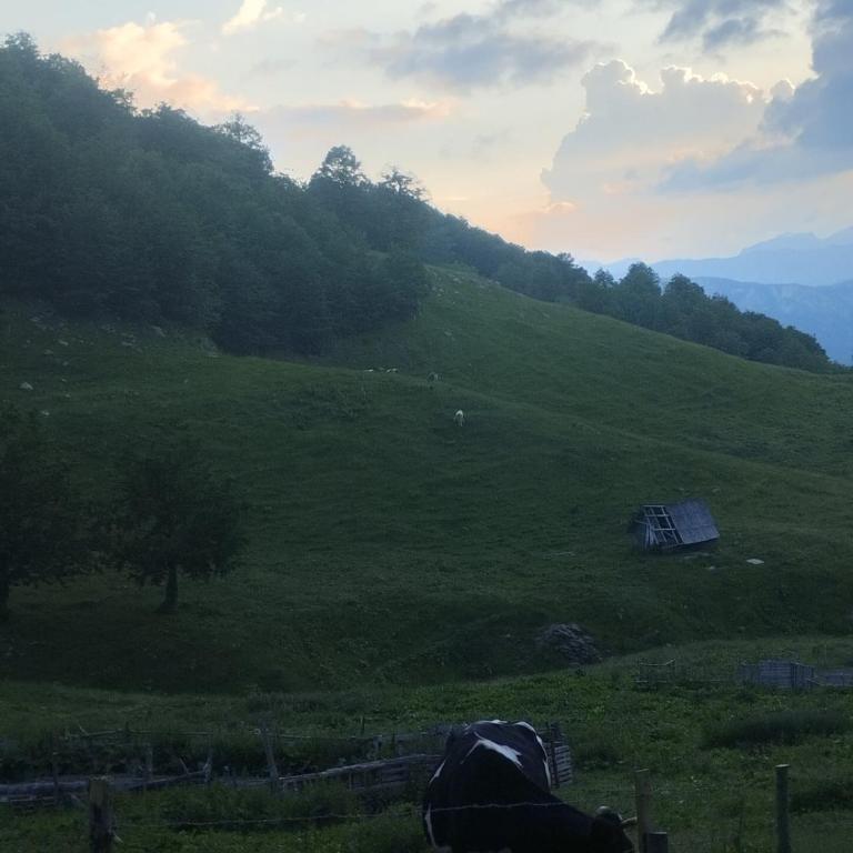 Eko Katun Djurisic - Apartman sa 1 Spavaćom Sobom - 21