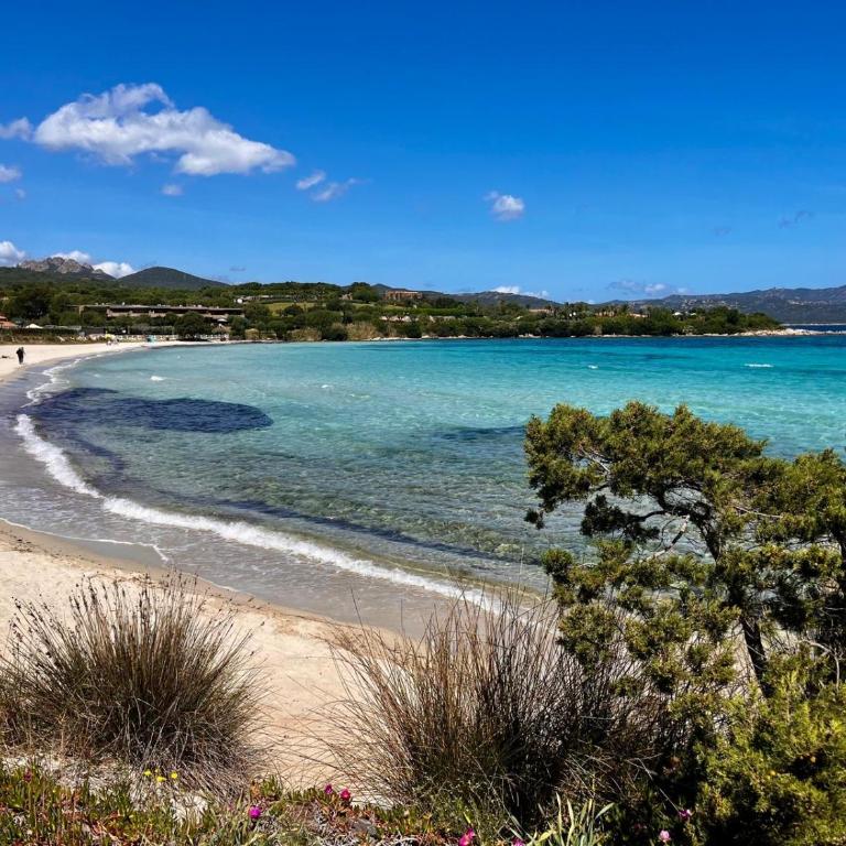 LE TERRAZZE Porto Rotondo - Appartamento con 2 Camere da Letto - 5
