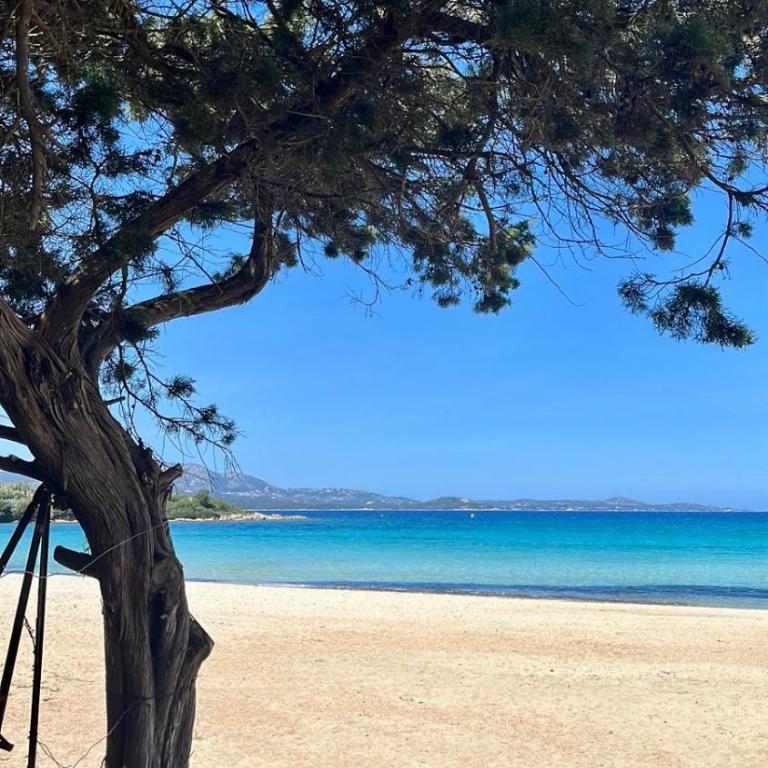 LE TERRAZZE Porto Rotondo - Appartamento con 2 Camere da Letto - 4