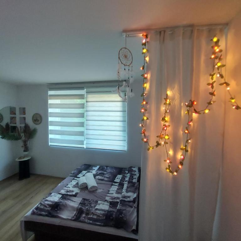 Pandora's Place - Apartman - Prizemlje - 6