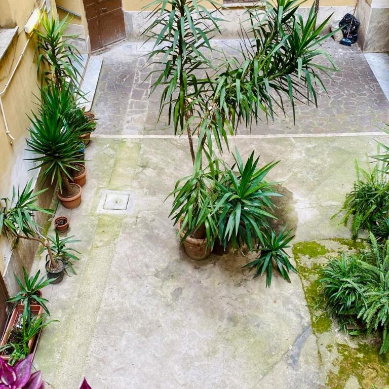 Kira Luxury Apartment with terrace - Appartamento con 3 Camere da Letto - 61