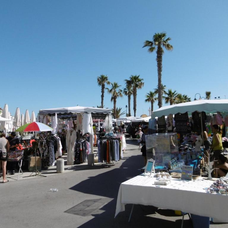 T2 au Barcarès avec terrasse et parking, proche commerces - FR-1-799-12 - Appartamento - 14