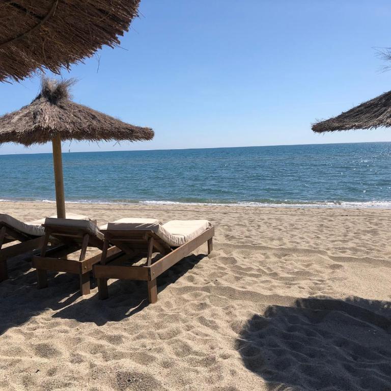 Spacieux T2 climatisé avec véranda, 150m plage, PKG, au cœur de la Grande Plage - 4 personnes - FR-1-799-20 - Apartment - 10