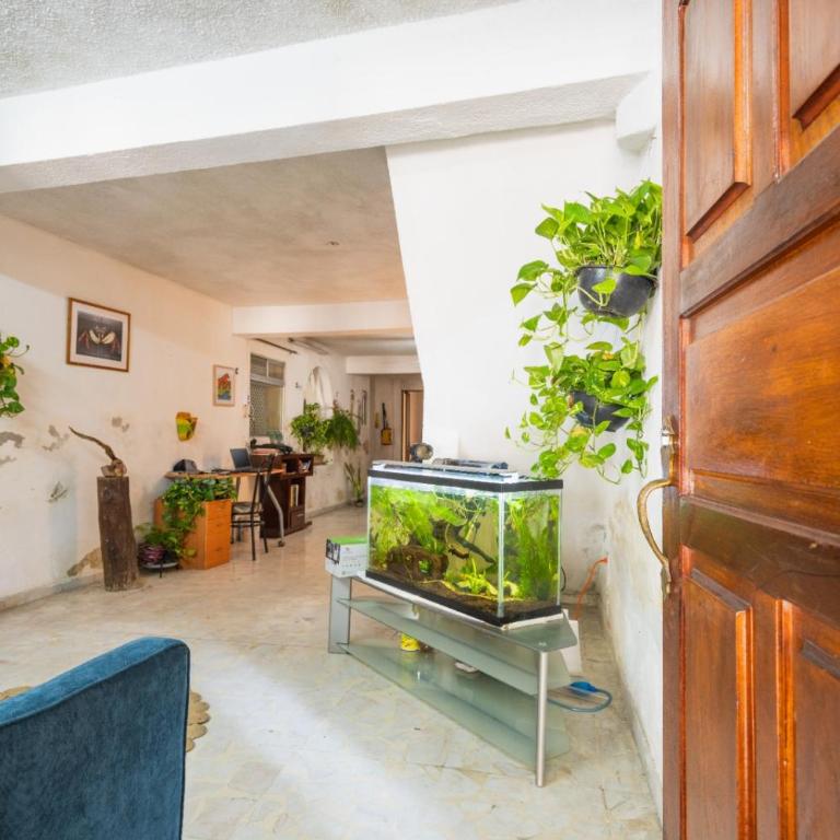 Bienestar Neotropical - Two-Bedroom House - 16