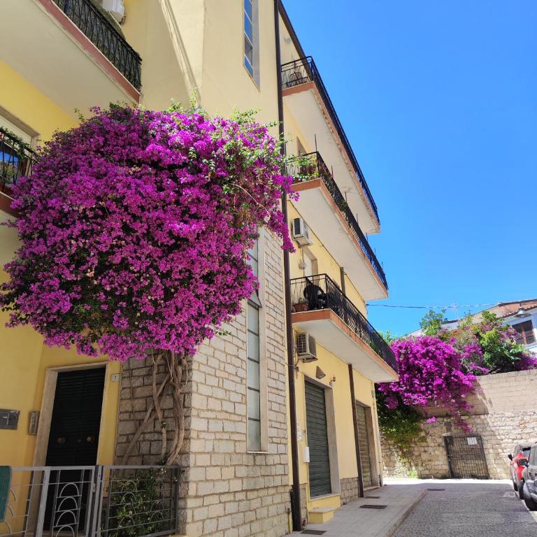 Attico Vespucci Luxury Penthouse - Appartamento con 3 Camere da Letto - 21