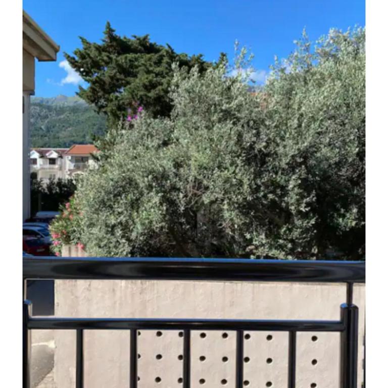 Sekulovic Apartments - Apartman sa 1 Spavaćom Sobom - 1