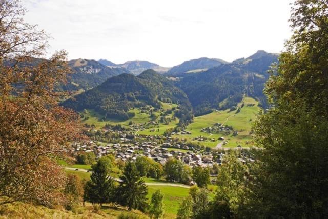 Studio à Praz-sur-Arly - Studio - 15