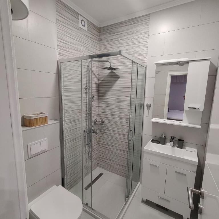 Apartmani Uroš Studio Trebinje - Deluks Studio sa Bračnim Krevetom (King-size) - 7