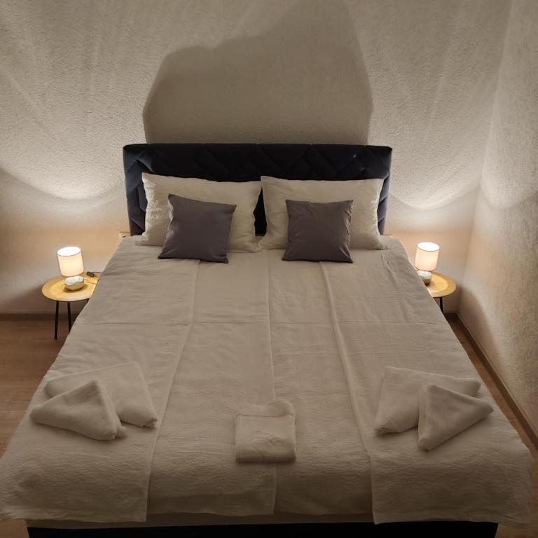 Apartmani Uroš Studio Trebinje - Deluks Studio sa Bračnim Krevetom (King-size) - 1