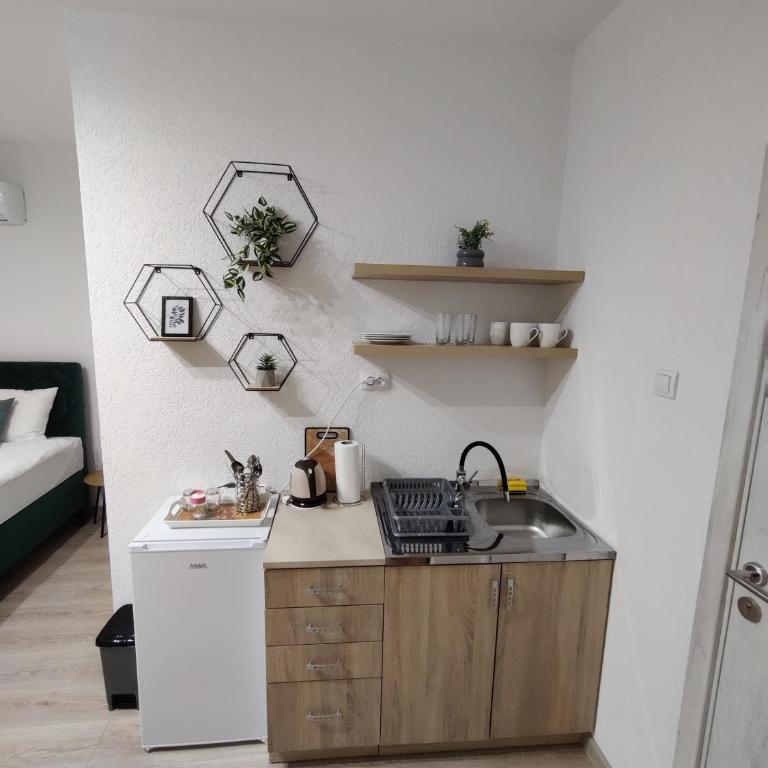 Apartmani Uroš Studio Trebinje - Deluks Studio sa Bračnim Krevetom (King-size) - 6