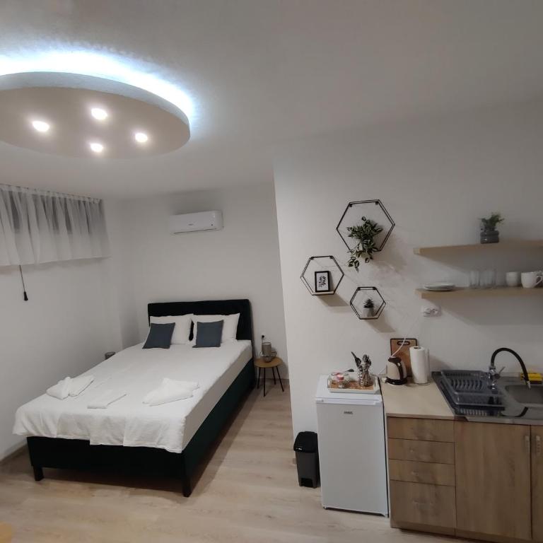 Apartmani Uroš Studio Trebinje - Deluks Studio sa Bračnim Krevetom (King-size) - 5