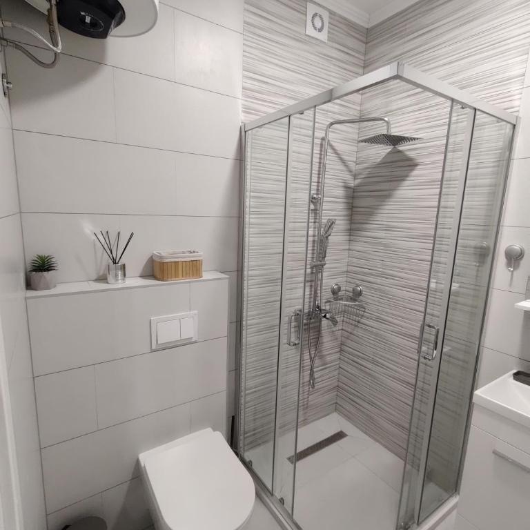 Apartmani Uroš Studio Trebinje - Deluks Studio sa Bračnim Krevetom (King-size) - 8