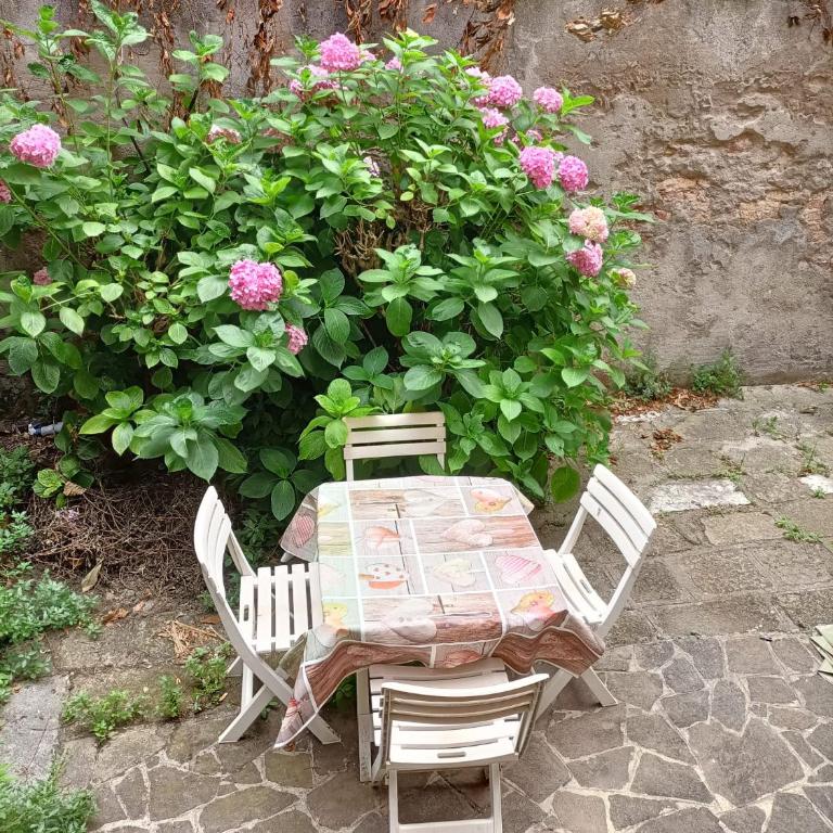 Ca' Trapolin Venezia WIFI center city 520 - Two-Bedroom Apartment - 11